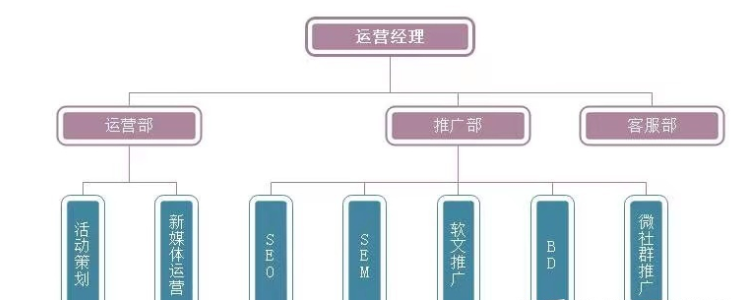 网络推广方案的制定和执行